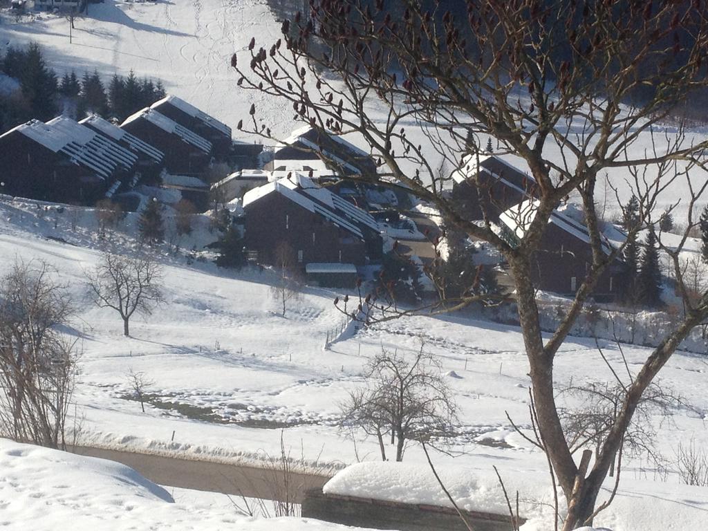 Hotel-Berggasthof Schwarzwaldperle Sasbachwalden Kültér fotó
